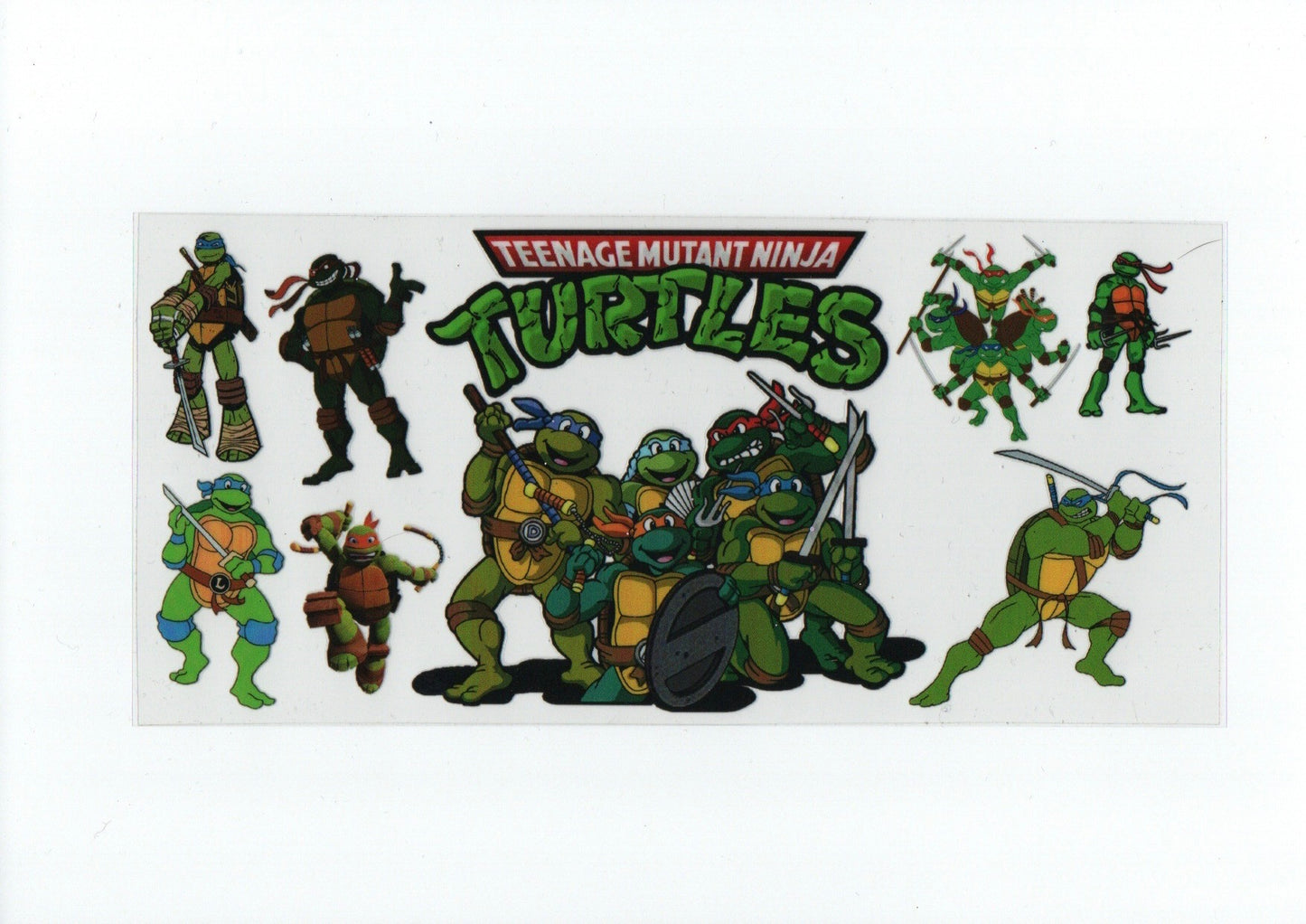Ninja Turtles #2