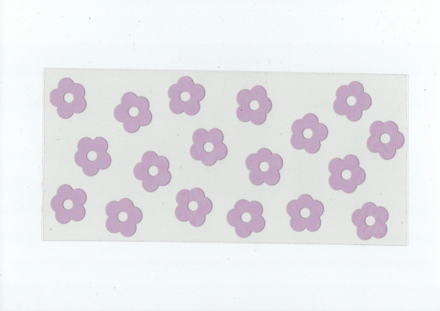 Purple flowers