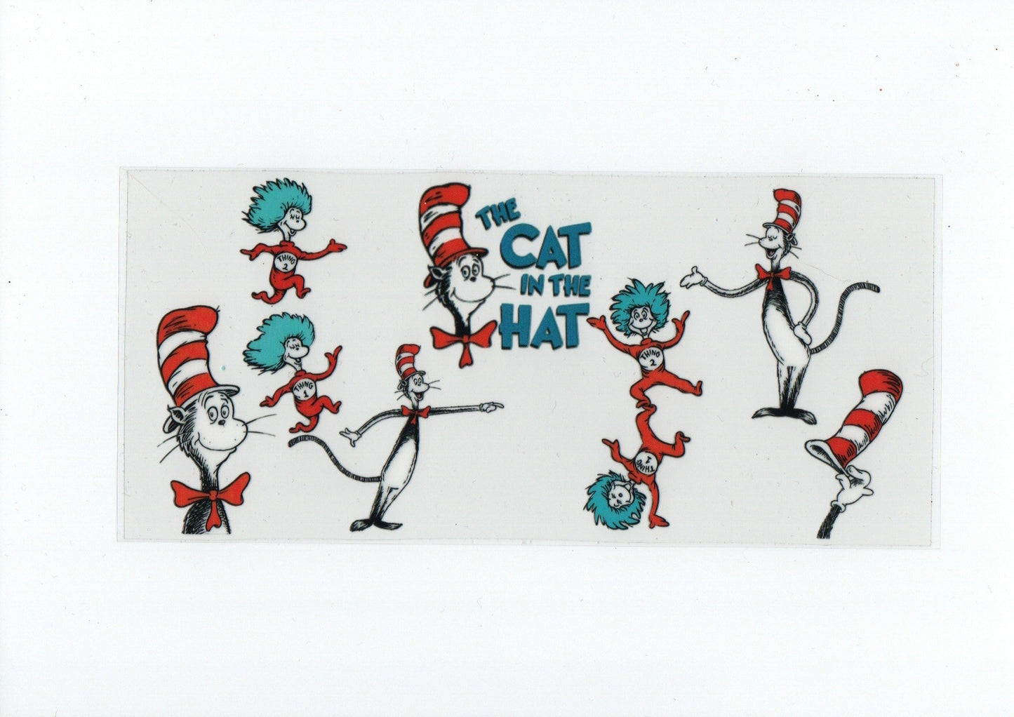 Cat in the hat