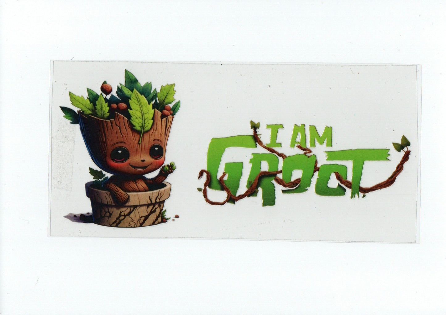 Groot