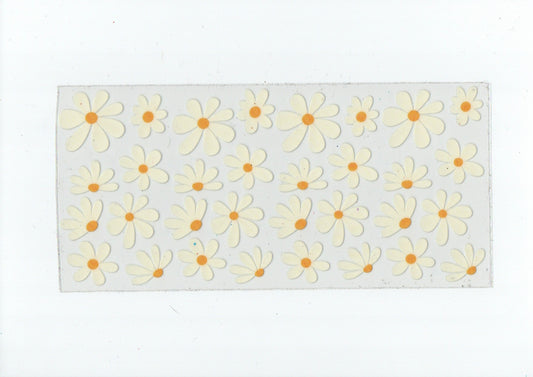 White daisies