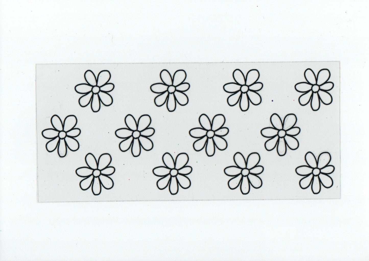 Outlined daisies