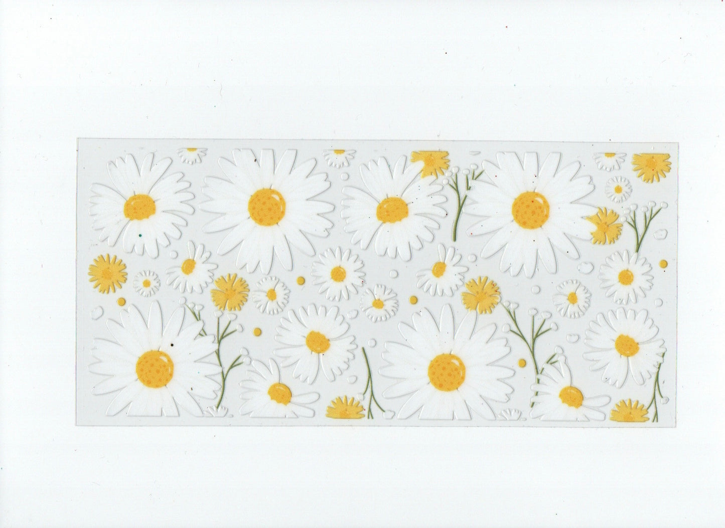 Flowers #7