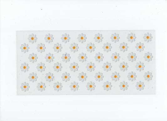 White daisies #2
